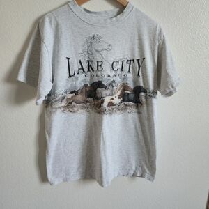Lake City Graphic T-Shirt - Gray